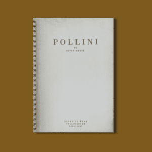 POLLINI BY RIFAT OZBEK RTW FALL/WINTER 2006/2007