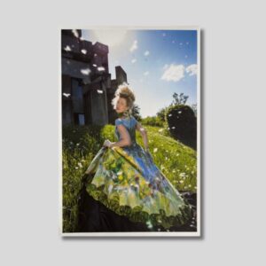 The Princess in the Tower 1